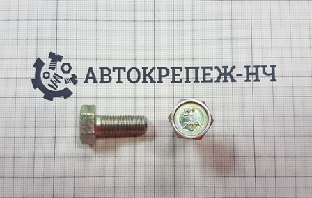 Болт М10х25х1,25 1/59707-31 (АО БелЗАН)